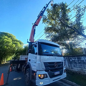 SHADDAI - Poda en General y Jardinería en General 