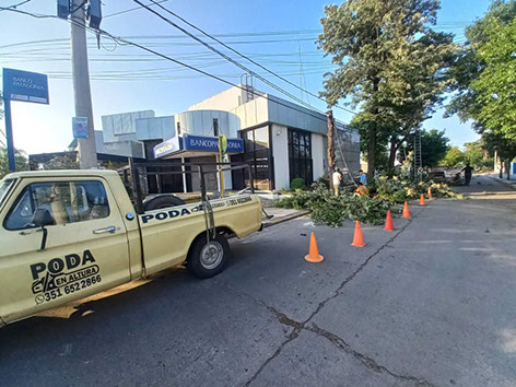 SHADDAI - Poda en General y Jardinería en General 