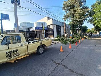 SHADDAI - Poda en General y Jardinería en General 