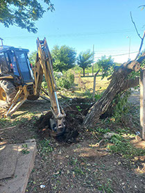 SHADDAI - Poda en General y Jardinería en General 