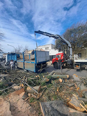 SHADDAI - Poda en General y Jardinería en General 